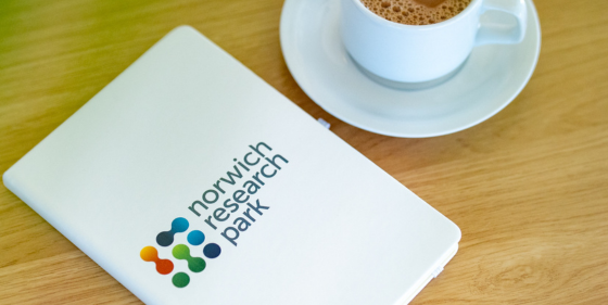 Newsletter - Company Case studies