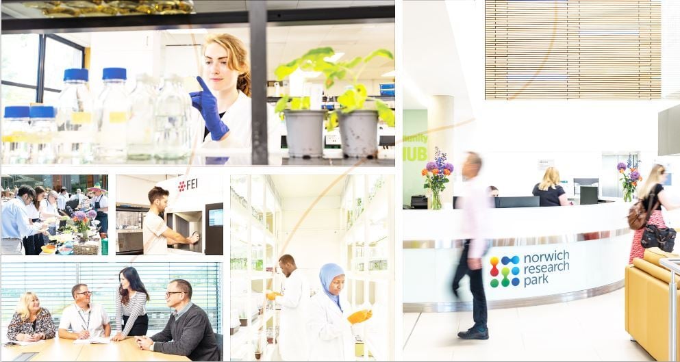 Norwich Research Park Latest News